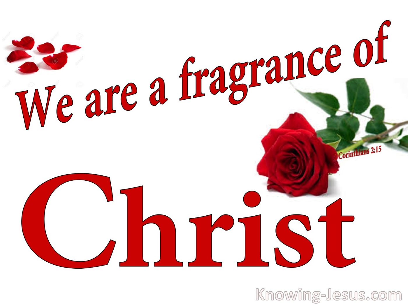2 Corinthians 2:15 The Fragrance Of Christ (white)